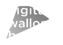 Digital Wallonia